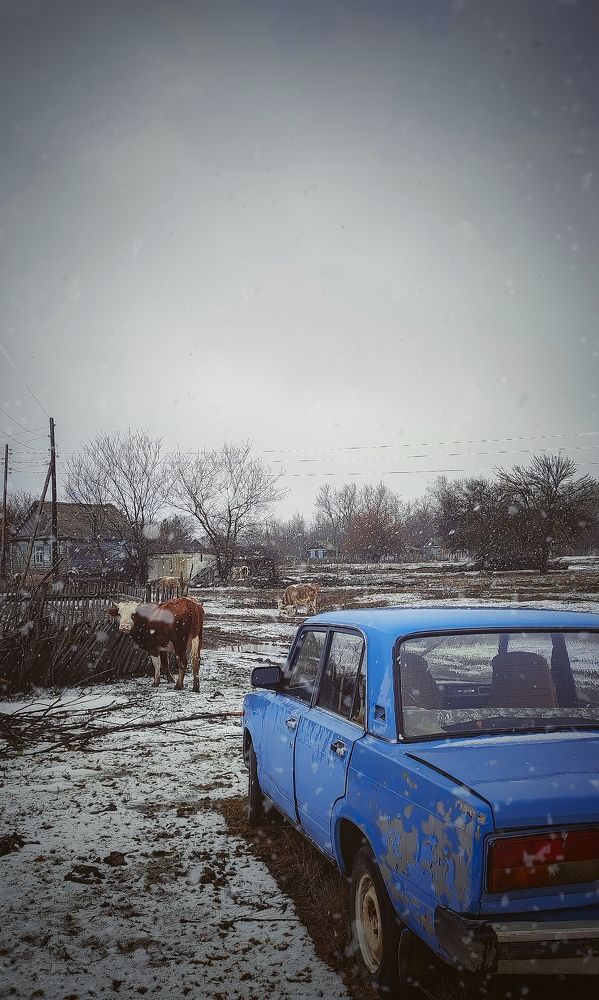 Фотография автора Анастасия Мамаева