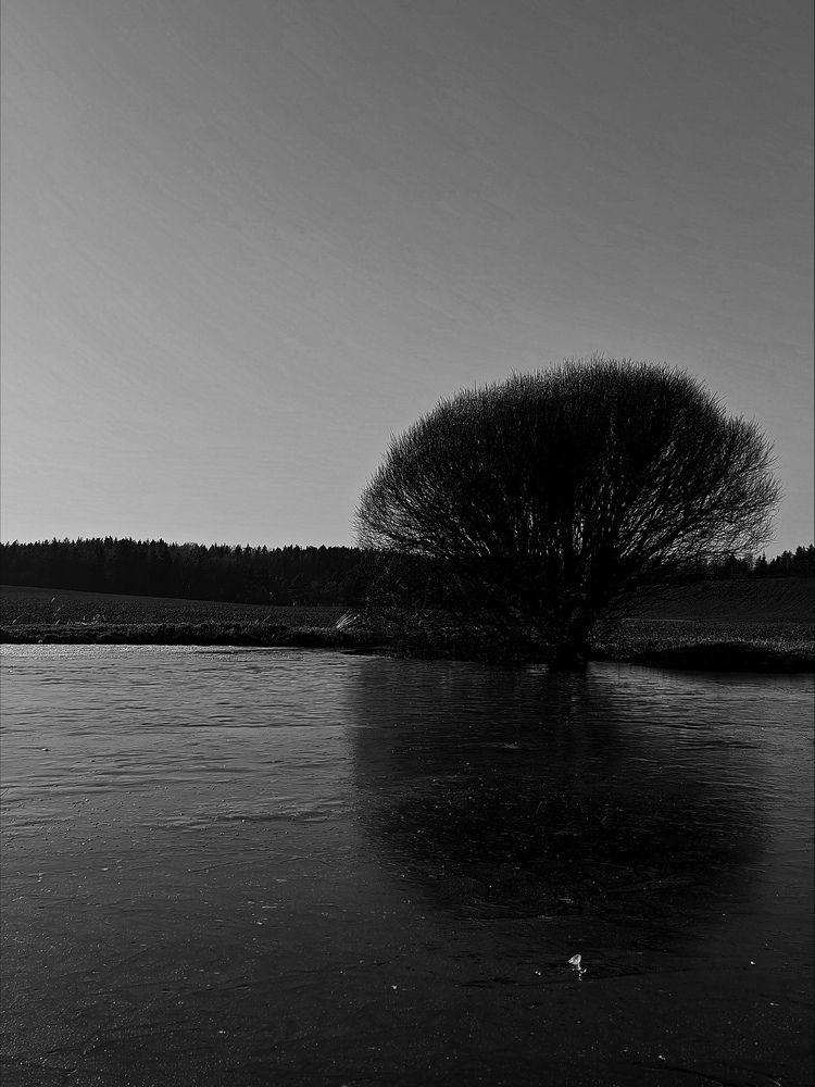 Photograph by Maria Stankevich