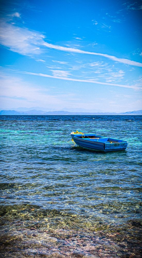 The boat