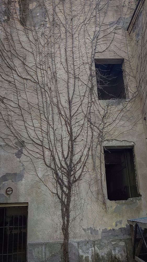 Фотография автора Анастасия Мамаева