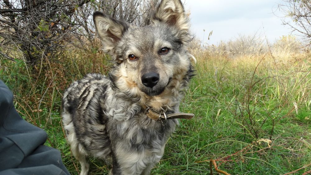 Photograph by Елена Мясникова