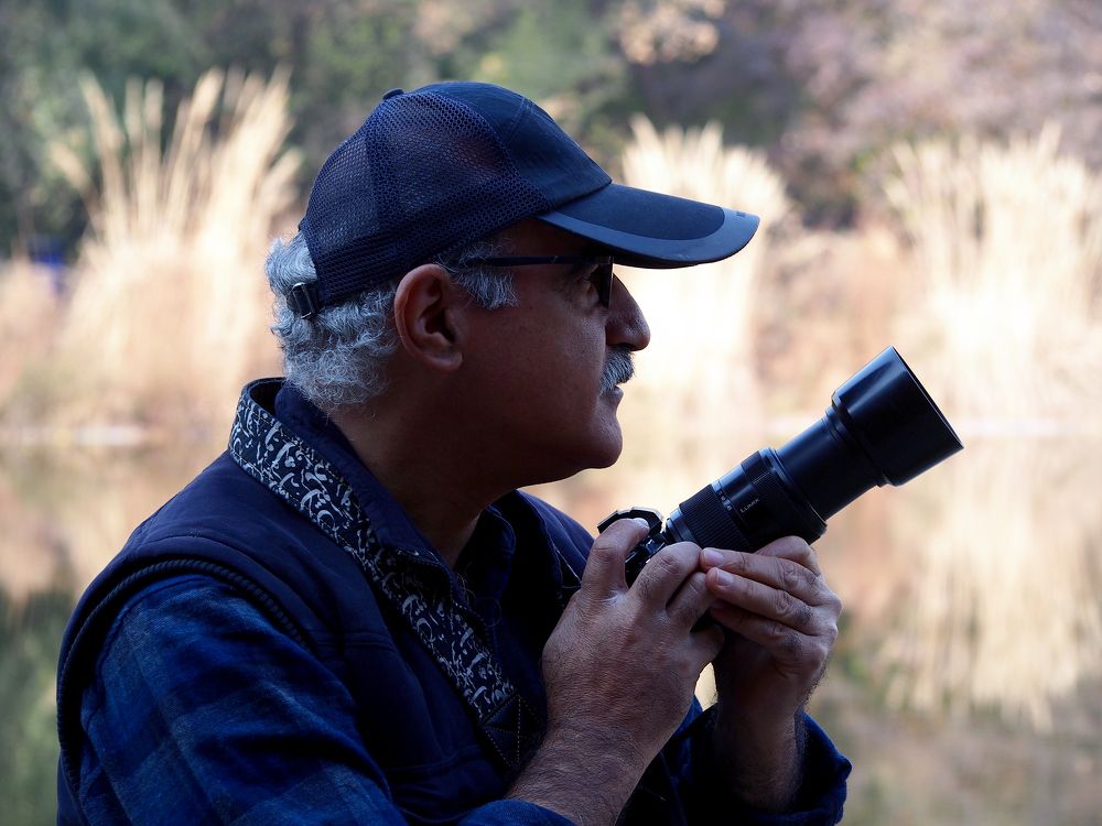 Photograph by Abdolreza Aleagha