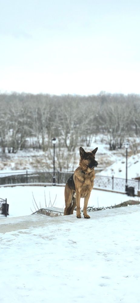 Photograph by Наталья Анисимова