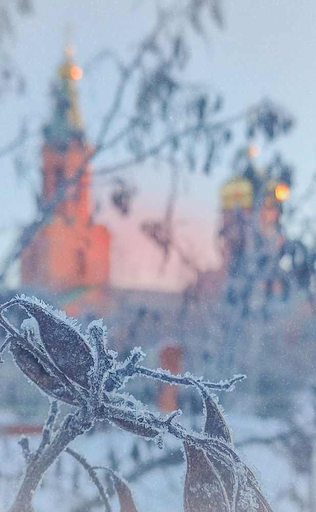 Фотография автора Анастасия Мамаева