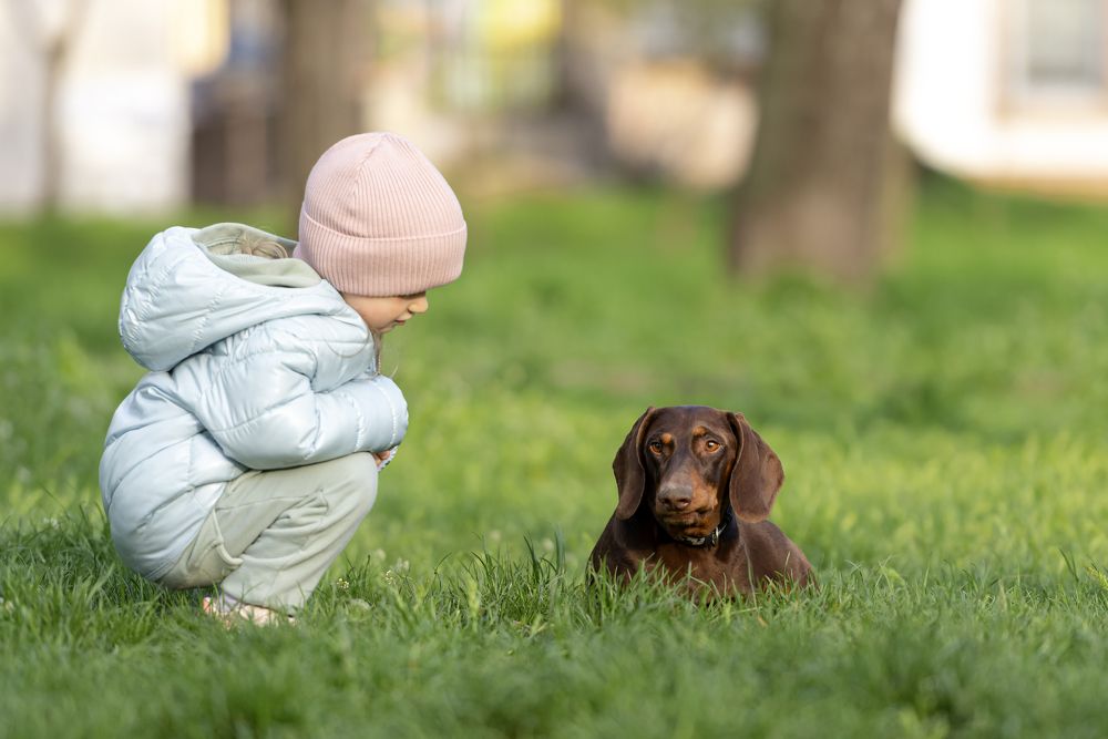 Фотография автора Ольга Тенилова