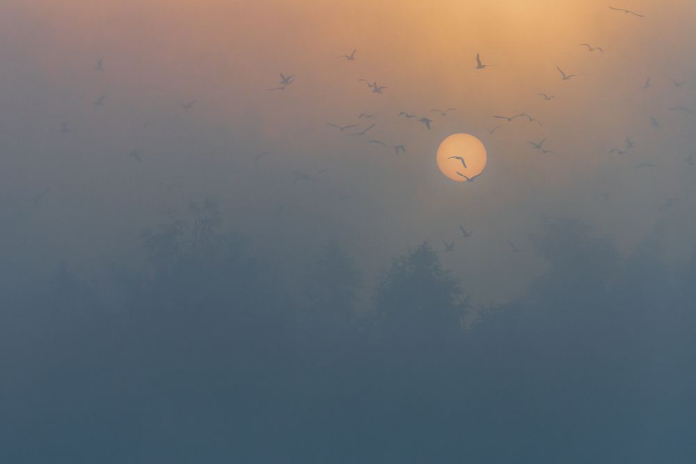 Немного Хичкока