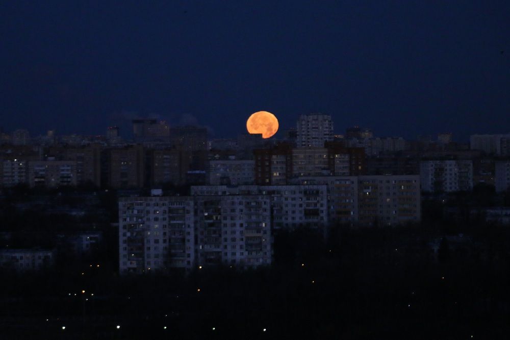 Photograph by Анастасия Свиридова