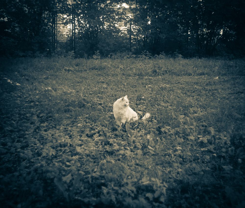 Photograph by Никита Губанов