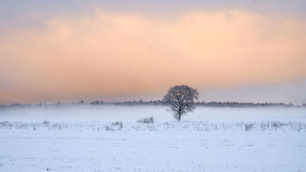 Photograph by Alla Matrosova
