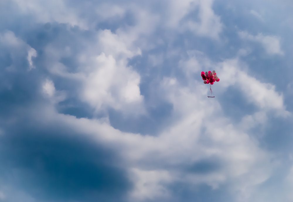 Photograph by NIKOLAY GORBUNOV