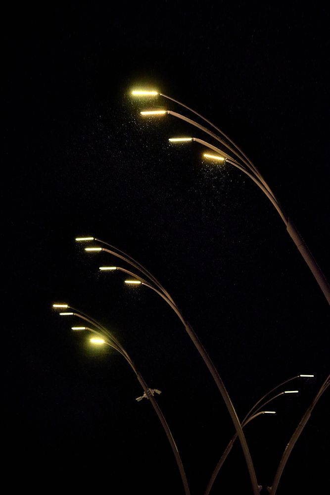 Photograph by Alla Matrosova