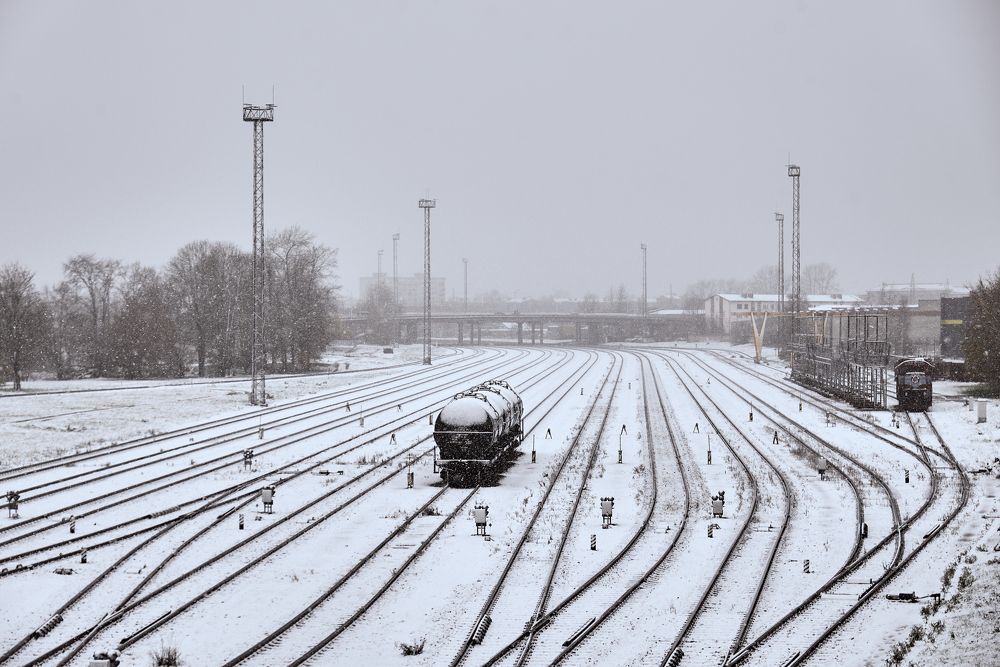 Photograph by Alla Matrosova