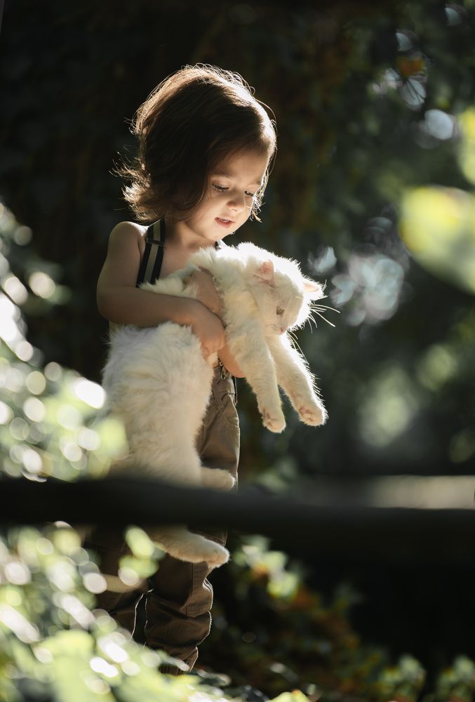 Фотография автора Jalal Ibrahim