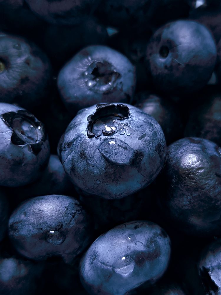 Фотография автора Олеся Непомнящих