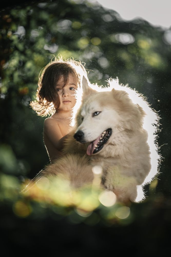 Фотография автора Jalal Ibrahim