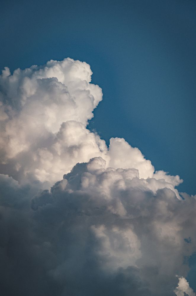 Photograph by Алина Петрушенко