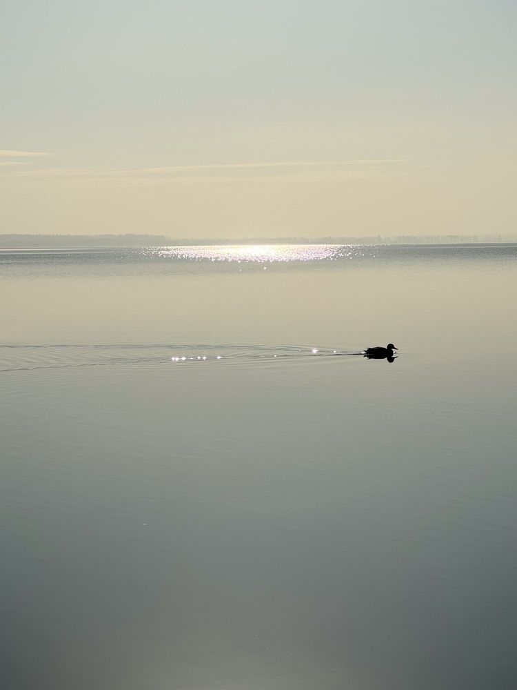 Photograph by Виктория Баева