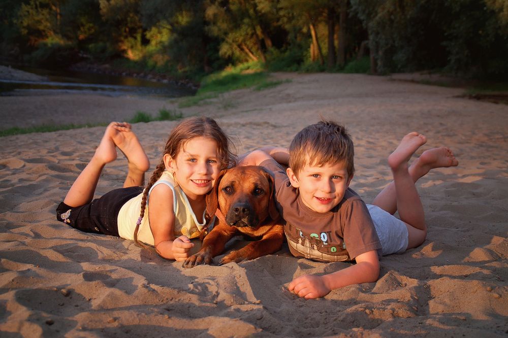 Фотография автора Soňa Šerá