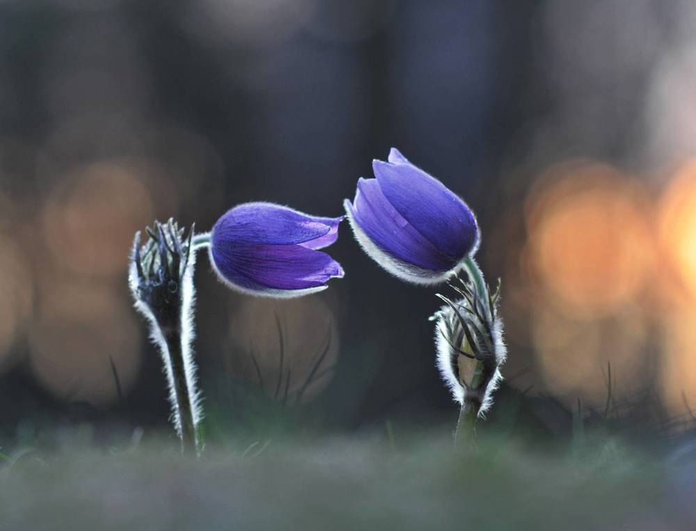 Photograph by Александр Гвоздь