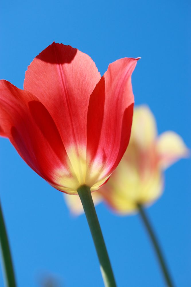 Photograph by Дмитрий Казачек