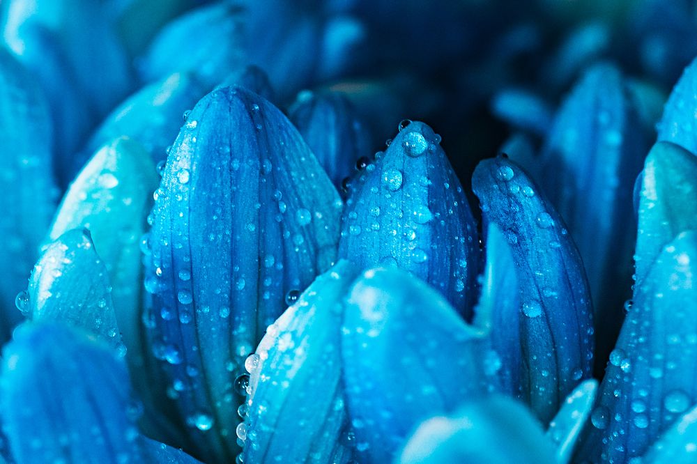 Фотография автора Наталья Василькова