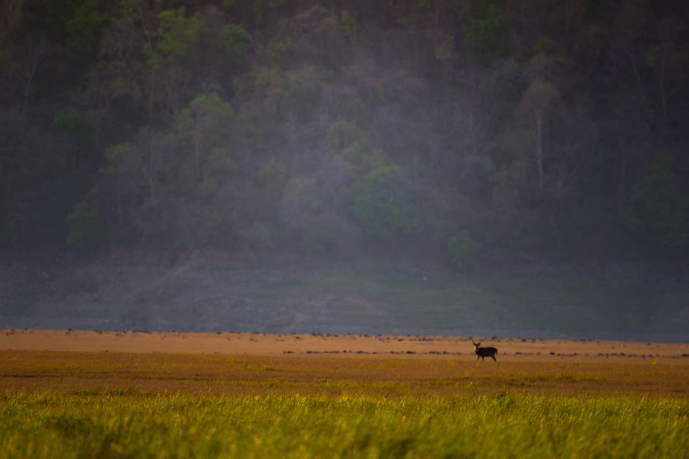Photograph by Atul Sharma