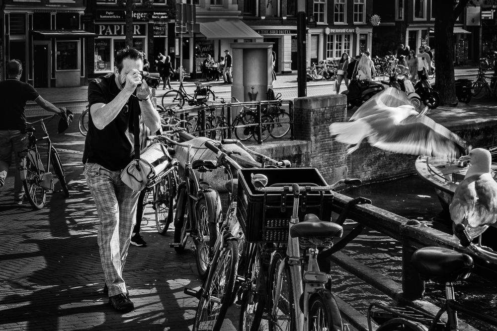 Photograph by Vladimir Bragilevsky