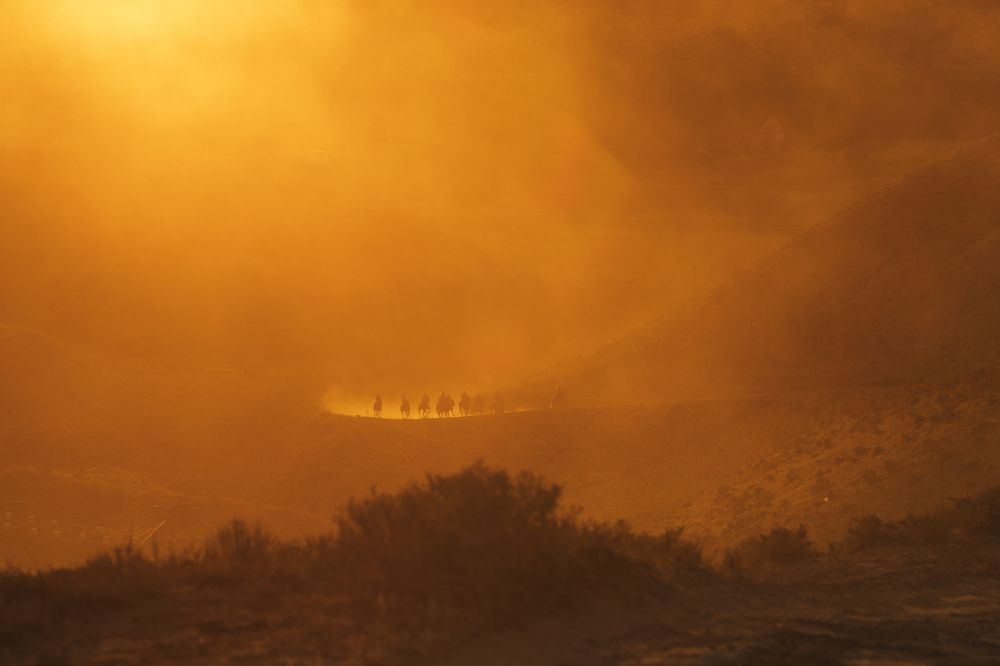 Photograph by Альбина Сагитова