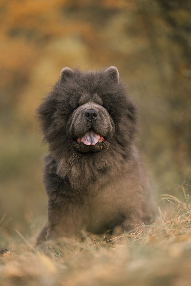 Photograph by Светлана Степашина