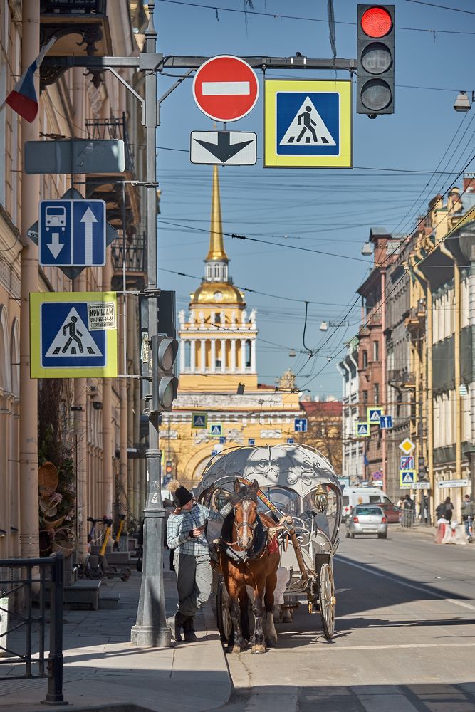 Photograph by Alla Matrosova