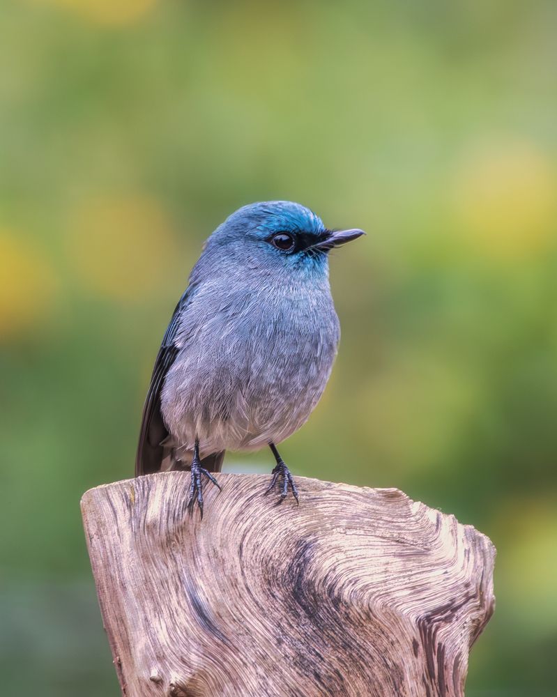 Photograph by Дудников Александр