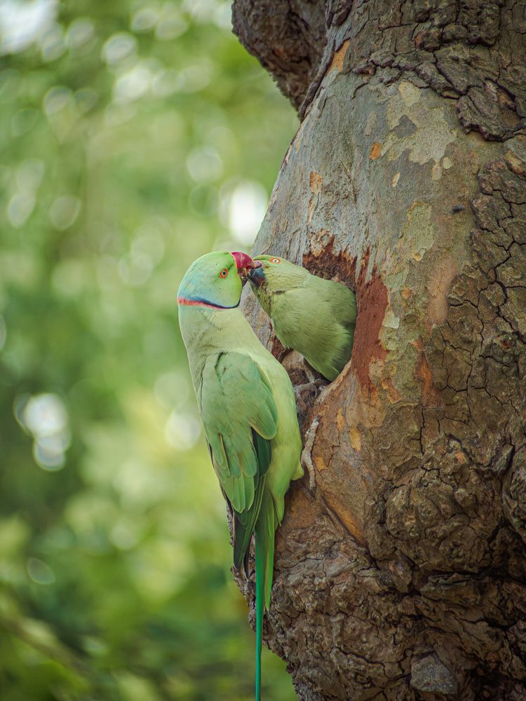 Photograph by Ирина Протченко
