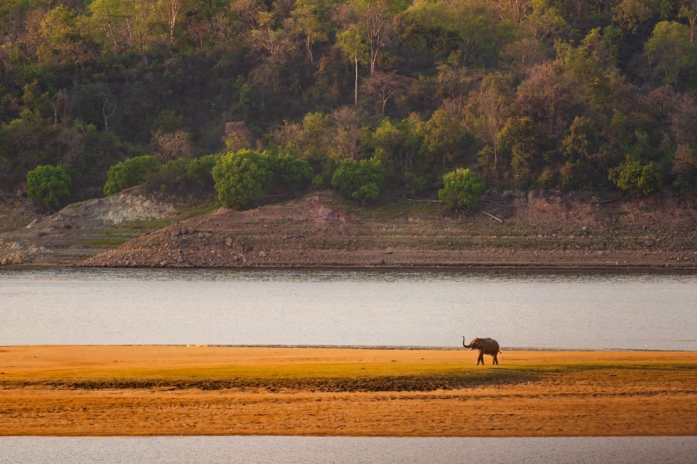 Photograph by Atul Sharma