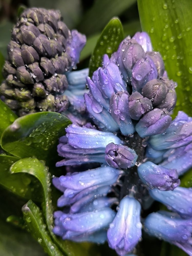 Photograph by Ольга Стоун