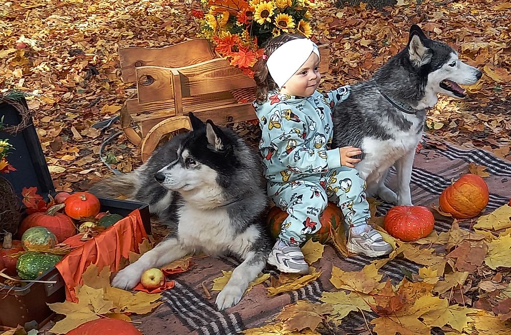 Photograph by Ирина Архипова