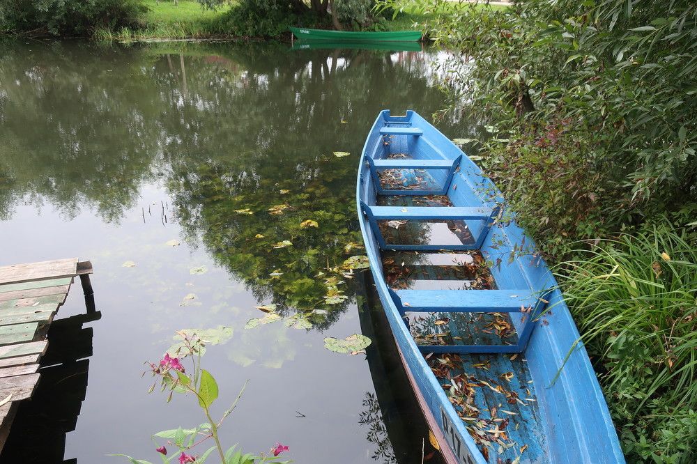 Photograph by Ольга Стоун