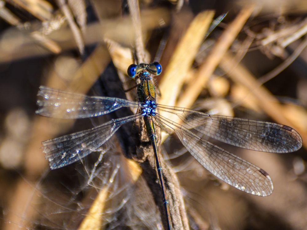 Photograph by Анастасия Гурова