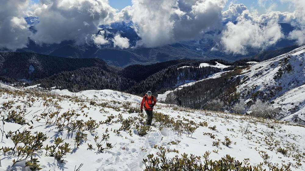 Photograph by Игорь Семеновский