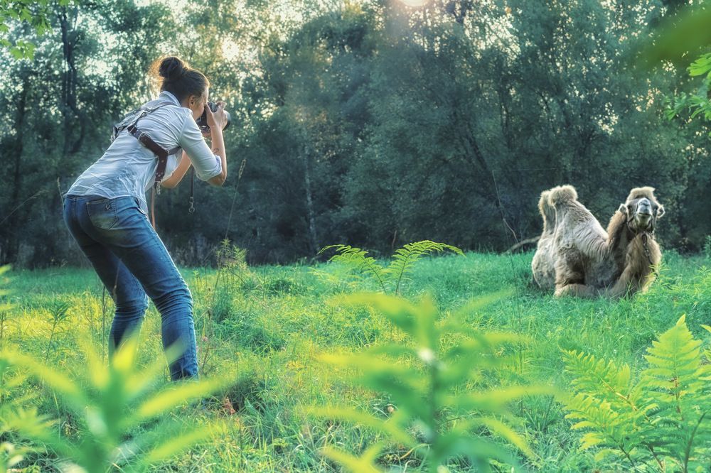 Photograph by Marina Ivanova