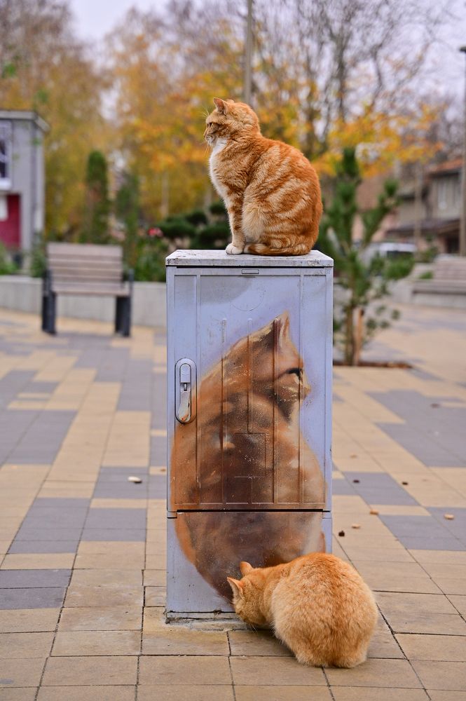 Photograph by Наталья Сергеева