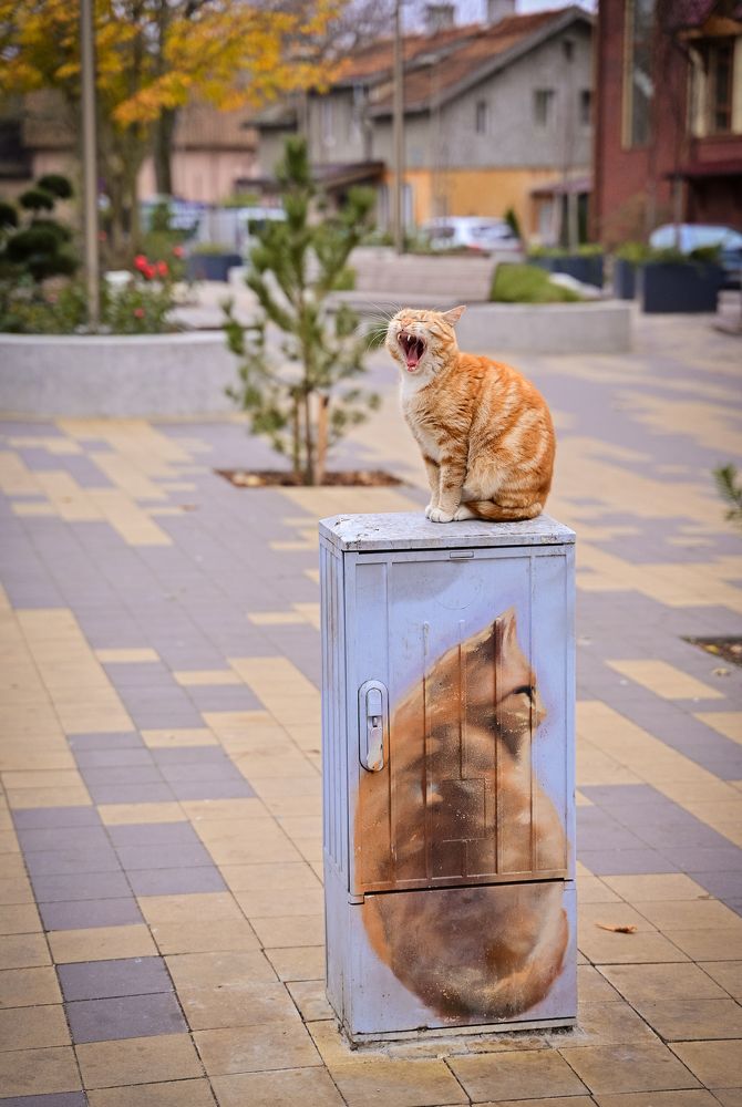 Photograph by Наталья Сергеева