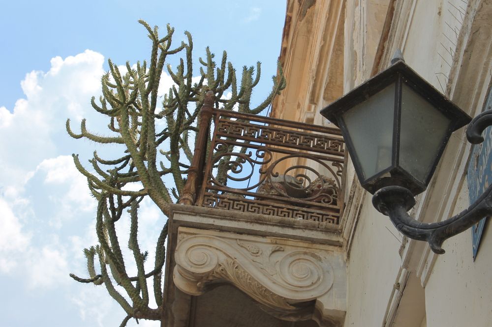 Photograph by Александр Гришин