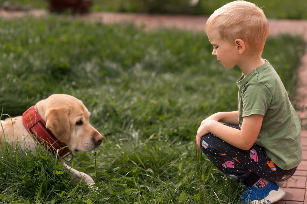 Photograph by Елена Ефимова