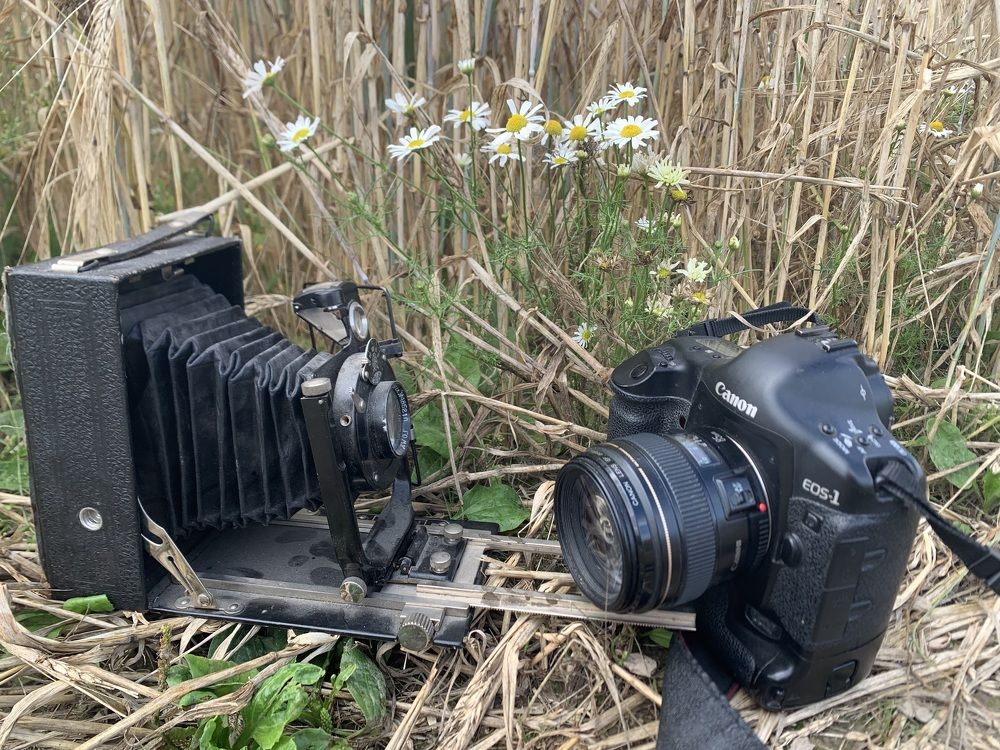 Photograph by Арина Прокшина