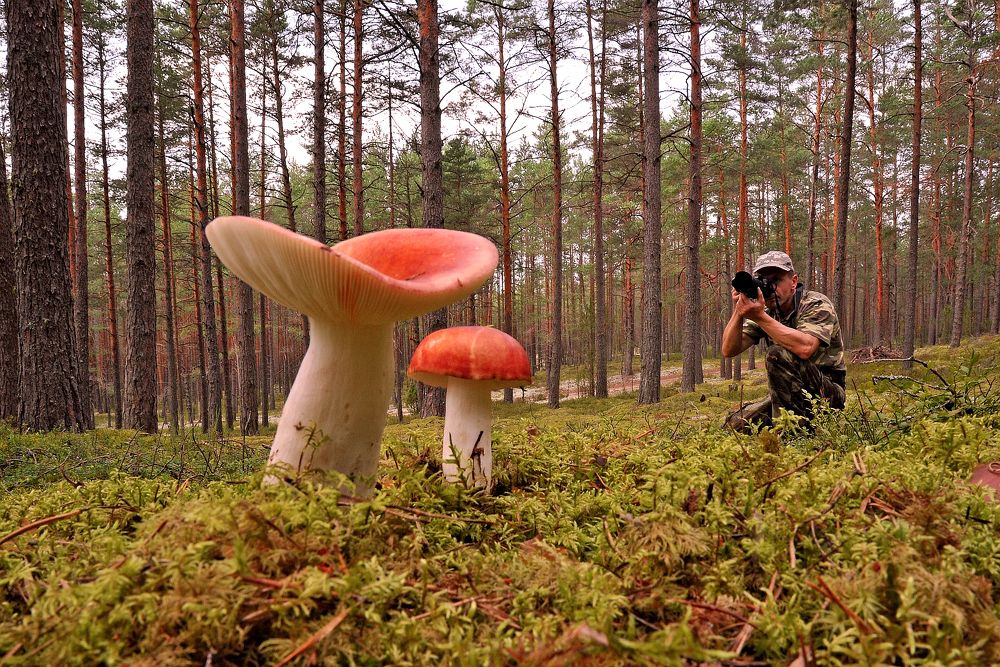 Photograph by Юрий Яковлев