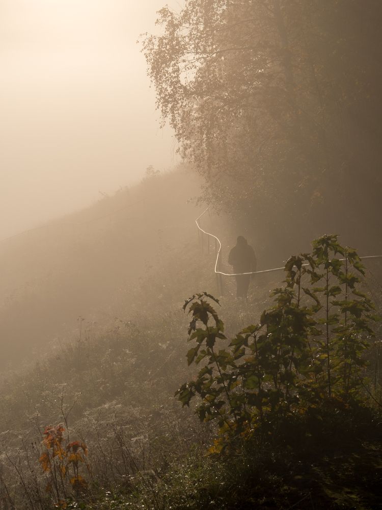 Photograph by Шейко Анна