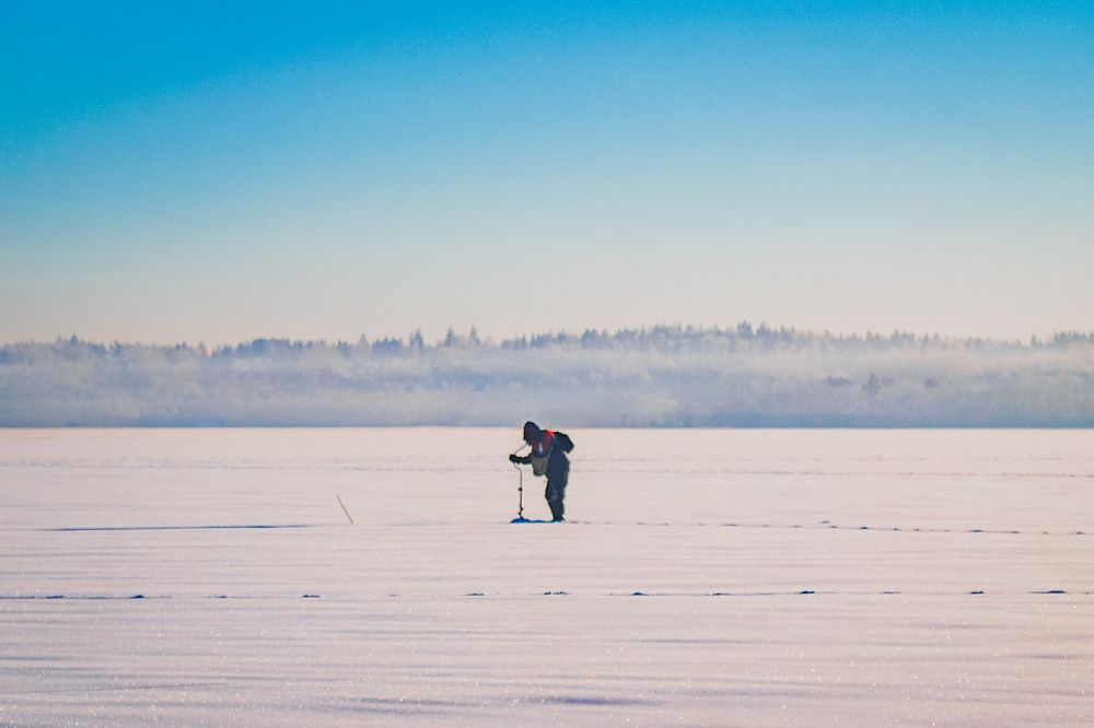 Фотография автора Комаров Иван