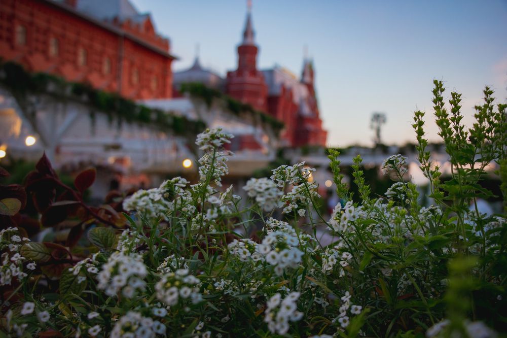 Photograph by Елена Барышева