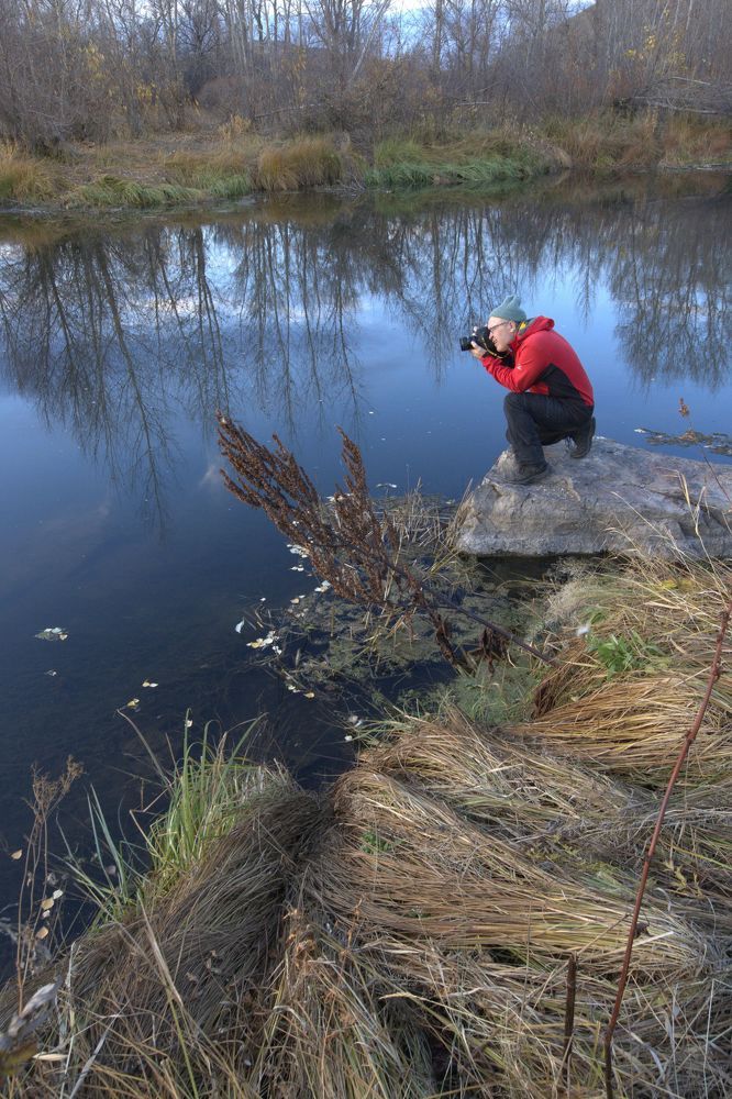 Photograph by Сергей Синягин