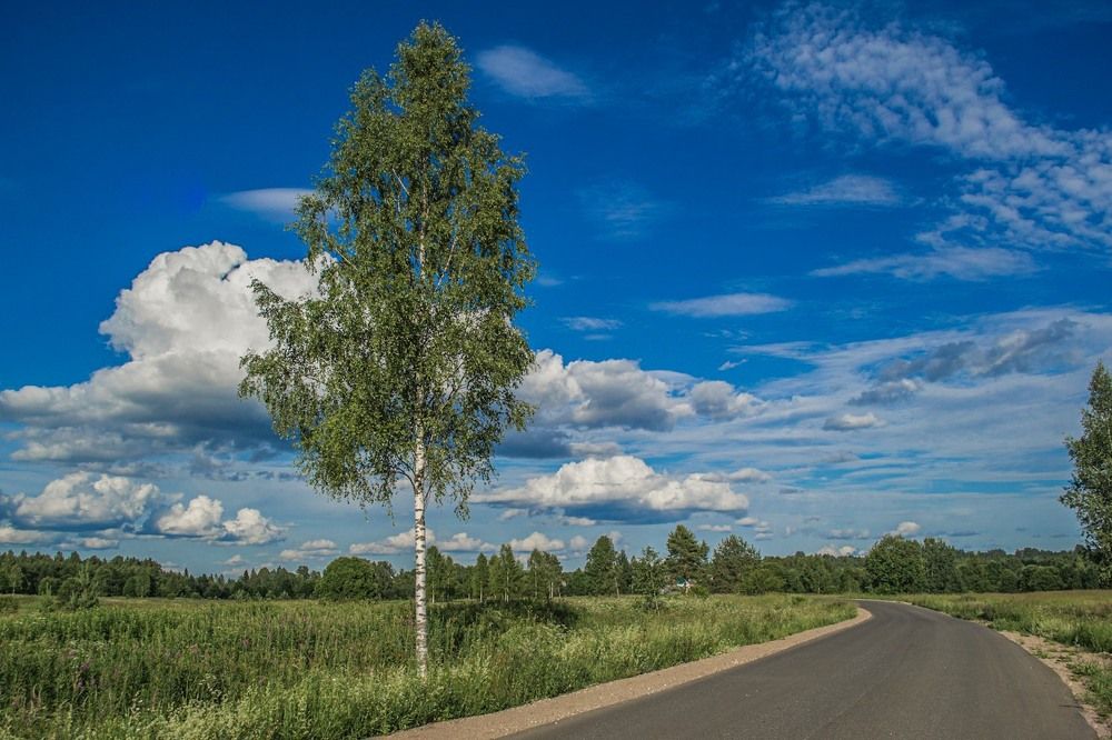 Фотография автора Комаров Иван